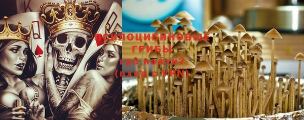 ГАЛЛЮЦИНОГЕННЫЕ ГРИБЫ Балабаново