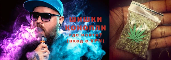 шишки Белоозёрский