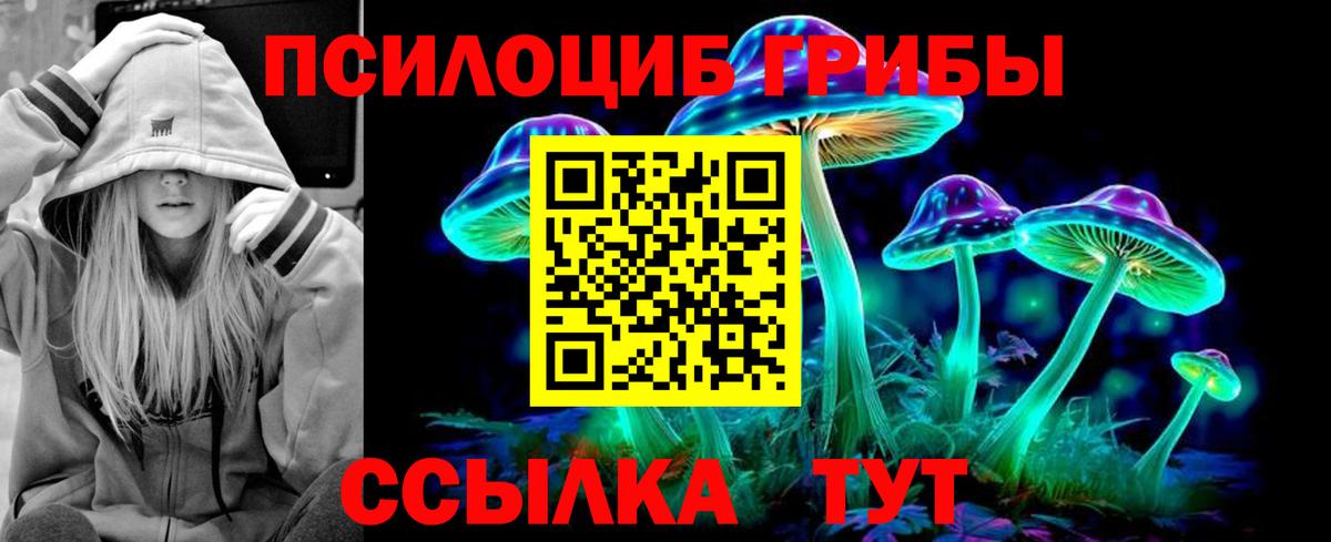 Псилоцибиновые грибы Psilocybine cubensis  Воскресенск 