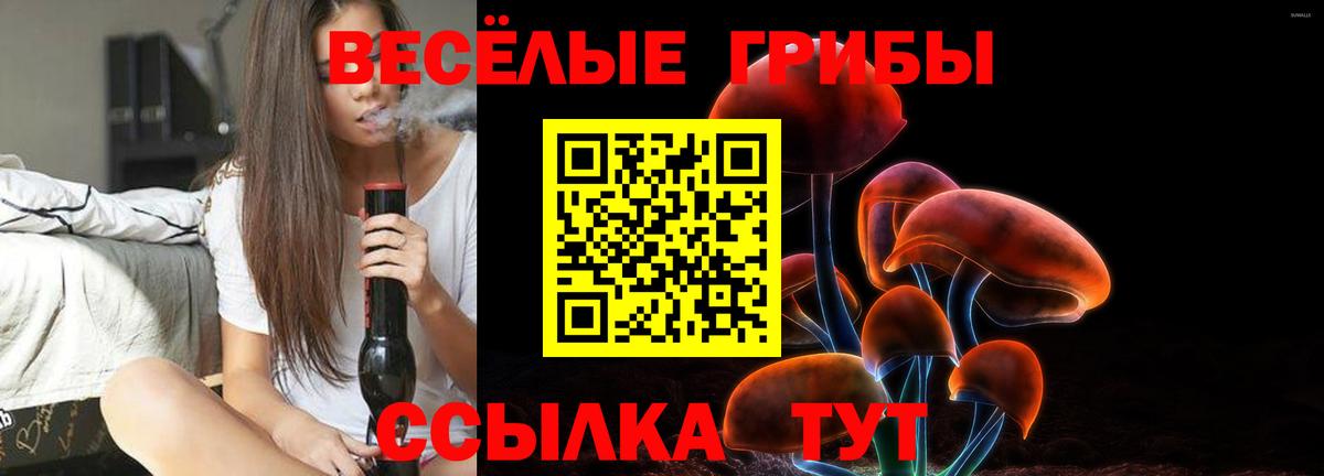 Галлюциногенные грибы Psilocybe Воскресенск